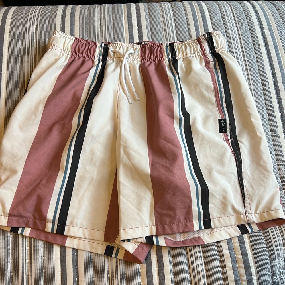 MENS HOLLISTER SWIM TRUNKS